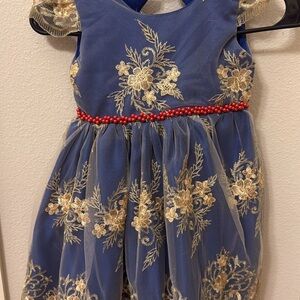 Blue and Gold Floral Embroidered Dress